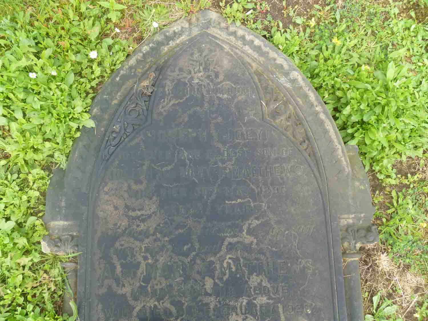 Matthews (1 256)
